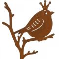 Floristik24 Patina sodo dekoravimo kištukas metalinis paukštis su karūna 6 vnt