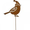 Floristik24 Sodo kuolas paukštis su kepurėlės patina dekoracija 12cm 6vnt