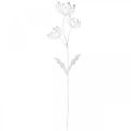 Floristik24 Pavasario puošmena, deko kištuko gėlė shabby chic balta, sidabrinė L87cm P18cm