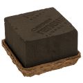 Floristik24 Gėlių putplastis 1/2 plytos OASIS® Renewal® Biolit® 12 cm 2 vnt.