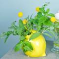 Floristik24 Fajanso vaza citrinos geltona 15cm