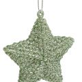 Floristik24 Žvaigždė su žėručio mėtų žalia 7,5cm 12vnt