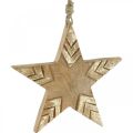 Floristik24 Žvaigždinė mango medžio gamta, auksinė medinė žvaigždė Kalėdos 19,5cm 3vnt