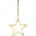 Floristik24 Kalėdinis pakabukas, žvaigždės puošmena Adventui, puošmena žvaigždė auksinė 14 × 14cm