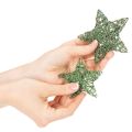 Dekoratyvinis žalios vielos žvaigždžių rinkinys, dviejų dydžių, 10 cm, 12 dalių | Floristik24.lt