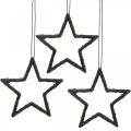 Floristik24 Kalėdinės dekoracijos žvaigždės pakabukas juodi blizgučiai 7,5cm 40p