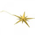 Floristik24 Kalėdų puošmena žvaigždės pakabukas auksinis W11,5cm 16vnt