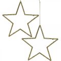 Floristik24 Kalėdinės dekoracijos žvaigždės pakabukas auksiniai blizgučiai 12cm 12vnt