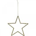 Floristik24 Kalėdinės dekoracijos žvaigždės pakabukas auksiniai blizgučiai 17,5cm 9vnt