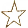 Floristik24 Blizgančios žvaigždės, advento papuošimai, žvaigždžių dekoracijos pakabinimui, kalėdinės dekoracijos auksinės 11,5 × 12 cm 12 vnt.