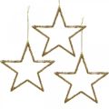Floristik24 Blizgančios žvaigždės, advento papuošimai, žvaigždžių dekoracijos pakabinimui, kalėdinės dekoracijos auksinės 11,5 × 12 cm 12 vnt.