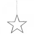 Floristik24 Žvaigždė pakabinama, eglutės papuošimai, puošmena žvaigždė sidabrinė 11,5 × 12cm 12vnt