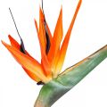Floristik24 Strelizie reginae dirbtinė gėlė oranžinė rojaus paukštė L85cm