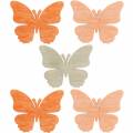 Floristik24 Išsklaidyta dekoracija drugelis mediniai drugeliai vasaros dekoracija oranžinė, abrikosas, ruda 144 vnt.