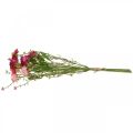 Rodante rožinė-rožinė, šilkinės gėlės, dirbtinis augalas, šiaudinių gėlių kekė L46cm
