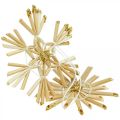 Floristik24 Straw Stars Glitter Gold Rinkinys Kalėdų dekoracijos Ø6cm 24vnt