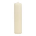 Floristik24 Pillar žvakės kremas Advento žvakės žvakės 200/50mm 24vnt