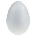 Floristik24 Polistirolo kiaušinis 20cm 1vnt