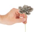 Dirbtinis sukulentas, vaškas, dirbtinis augalas su viela, 8 cm, 8 vnt. | Floristik24.lt