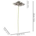 Dirbtinis sukulentas, vaškas, dirbtinis augalas su viela, 8 cm, 8 vnt. | Floristik24.lt