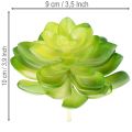 Dirbtinis sukulentas, žalias, dekoravimui dubenyje arba vazoje, 10 cm, 4 vnt. | Floristik24.lt