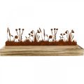 Floristik24 Medinis padėklas pavasario pieva, Velykų puošmena, dekoratyvinis padėklas tauriosios rūdys 35 × 15cm