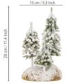 Sniegu padengtos eglės, dirbtinis žiemos peizažas kalėdiniam kaimeliui ir stalo dekoracijai, 29 cm | Floristik24.lt