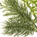 Dirbtinė eglės šaka šventinei dekoracijai, 22 cm, 2 vnt. | Floristik24.lt
