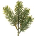 Floristik24 Dirbtinė žalia eglės šaka žiemos dekoracijoms, 25 cm, 24 vnt.