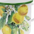 Floristik24 Emalio sodinuko puodelis, dekoratyvinis puodelis su citrinos šakele, Viduržemio jūros sodinukas Ø9,5 cm H10 cm