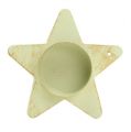 Floristik24 Žvaigždutės laikiklis žvaigždutė klijuoti kremas 9x23,5cm 1vnt