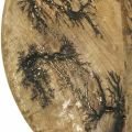 Floristik24 Dekoratyvinės plokštės medienos gamtos, auksinio traškėjimo efekto mango mediena Ø30