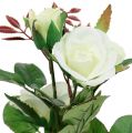 Floristik24 Stalo dekoravimo rožė vazonėlyje balta 24cm