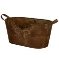 Floristik24 Ovalus metalinis dubuo su rankenomis, elnio motyvas, rūdžių spalvos, 36 cm