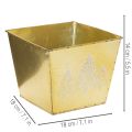 Metalinis vazonas su blizgančiu eglės motyvu, 18 cm | Floristik24.lt