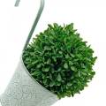 Floristik24 Gėlių vazonas pakabinamam vintažinės išvaizdos augalų vazonui žaliai baltai išplauti Ø11,5cm