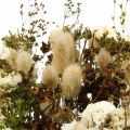 Floristik24 Džiovintų gėlių puokštė su pievinėmis žolėmis balta, žalia, ruda 125g džiovintų gėlių