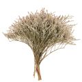 Floristik24 Džiovintų levandų puokštė „Statice Nature“, 1 kg