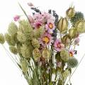 Floristik24 Laukinės žolės puokštė su šiaudinėmis gėlėmis sausomis gėlėmis 70g