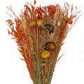 Floristik24 Džiovintų gėlių puokštė oranžinė mišrainė 42cm