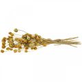 Floristik24 Džiovintų gėlių puokštė artišokas braškinis erškėtis natūralus 40-55cm 100g