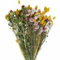 Floristik24 Džiovintų gėlių kekė Džiovintų gėlių puokštė Pievų gėlių puokštė 58cm