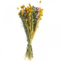 Floristik24 Džiovintų gėlių kekė Džiovintų gėlių puokštė Pievų gėlių puokštė 58cm