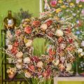 Floristik24 Džiovintų gėlių javų ir aguonų puokštė sausa dekoracija 60cm 100g