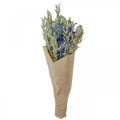 Floristik24 Džiovintų gėlių puokštė Pievų gėlių puokštė mėlyna H50cm 100g