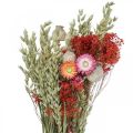 Floristik24 Džiovintų gėlių puokštė Pievų gėlių puokštė Raudona H50cm 150g
