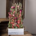Floristik24 Džiovintų gėlių puokštė šiaudinių gėlių grūdų aguonų kapsulė Phalaris viksas 55cm