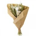 Floristik24 Džiovintų gėlių puokštė šiaudinių gėlių grūdų aguonų kapsulė sausa žolė 50cm