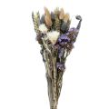 Floristik24 Džiovintų gėlių puokštė šiaudų gėlių paplūdimio alyvinė violetinė 30cm