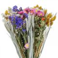Floristik24 Džiovintų gėlių puokštė jūros levandos Phalaris grūdeliai 55cm